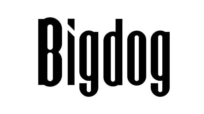 Bigdog